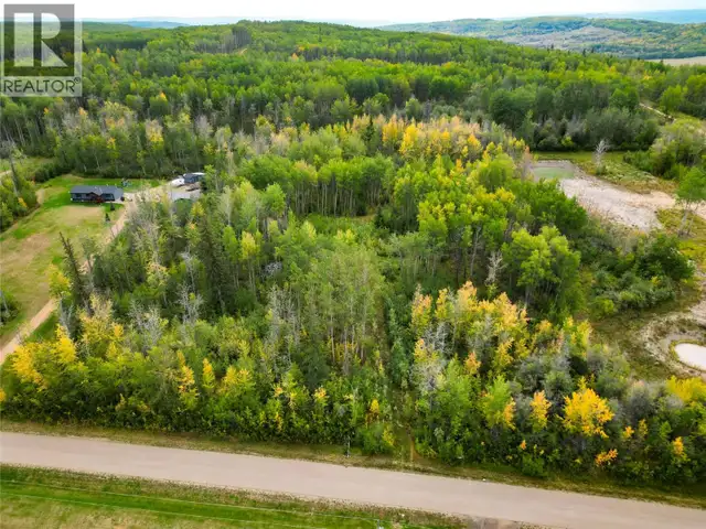 Lot 4 203 Road Dawson Creek, British Columbia in Land for Sale in Dawson Creek - Image 4