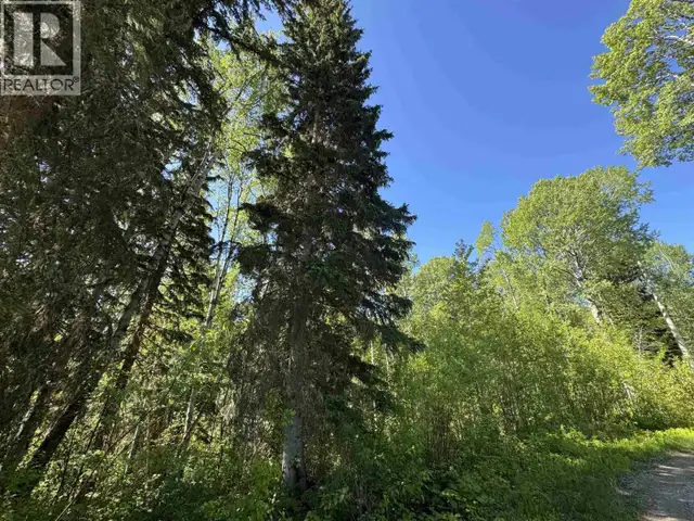 3177 W WESTLUND ROAD McBride, British Columbia in Houses for Sale in Quesnel - Image 32