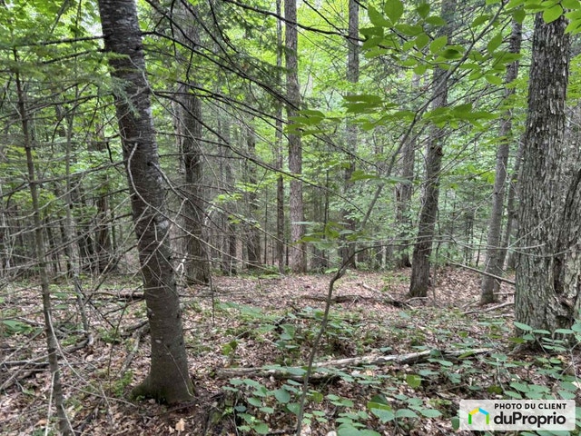 $135,000 - Price taxes not included - Residential Lot for sale — photo 3