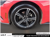 2025 Ford Mustang EcoBoost Premium Odometer is 1188 kilometers below market average! Ready for anyth... (image 6)