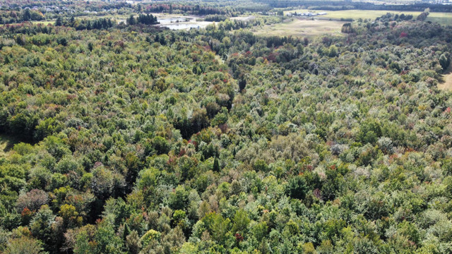 St-Christophe-d’Arthabaska : Terre à bois de 27.57 acres dans Terrains à vendre  à Victoriaville - Image 3