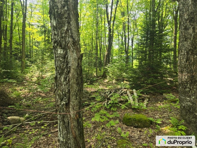 $115,000 - Wood Lot for sale in Milan — photo 3