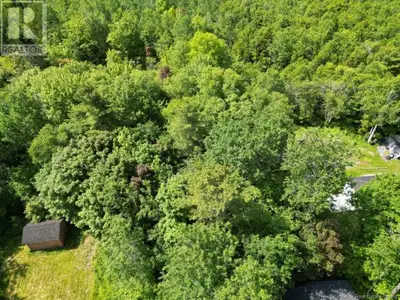 Rare chance to pick up a building lot for under $40000.00.This property consists of Two PID#s to com...