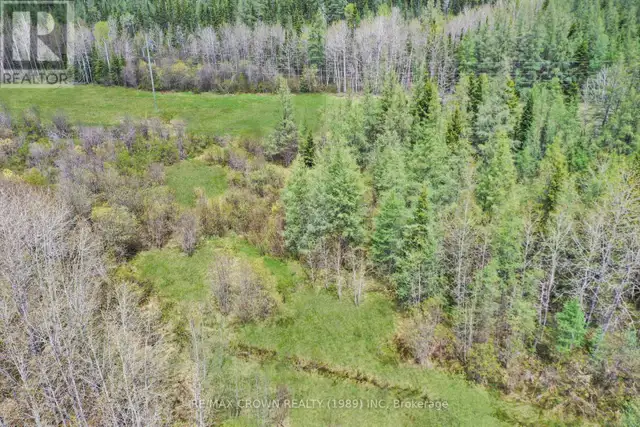 FAUQUIER-STRICKLAND - 319 HIGHWAY 11 Kapuskasing, Ontario in Land for Sale in Kapuskasing - Image 19