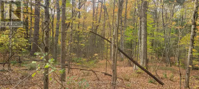 0 TUSK TRAIL Dysart et al (Harcourt), Ontario62864371436801121