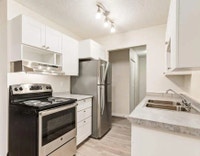 Amenities: Air Conditioning • Playground • Outside Green Space Suite & Building: Spacious one-bedroo... (image 3)