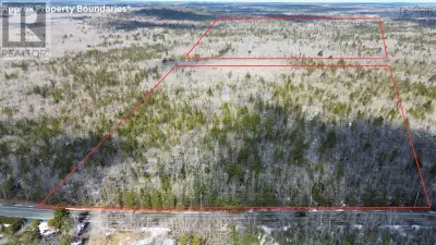 Discover the perfect blend of privacy, nature, and location with this impressive 51-acre wood lot in...