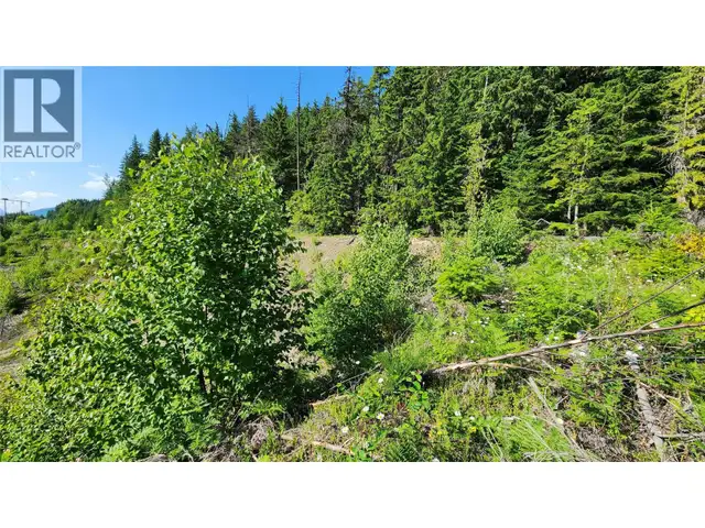 Lot 19 6 Highway Nakusp, British Columbia in Land for Sale in Nelson - Image 3