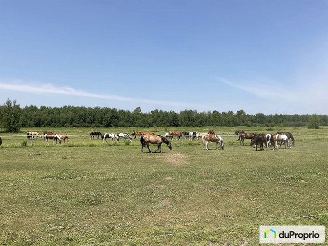 $1,799,999 - Acreage / Hobby Farm / Ranch for sale — photo 1