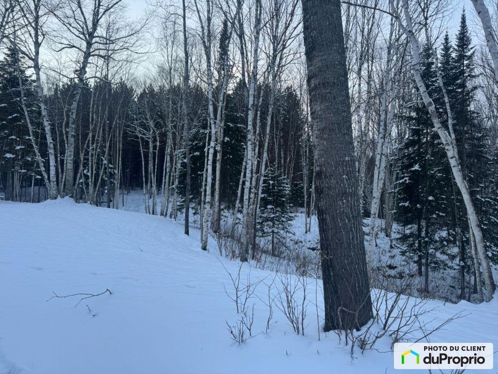 $275,000 - Residential Lot for sale in St-Michel-Des-Saints — photo 2