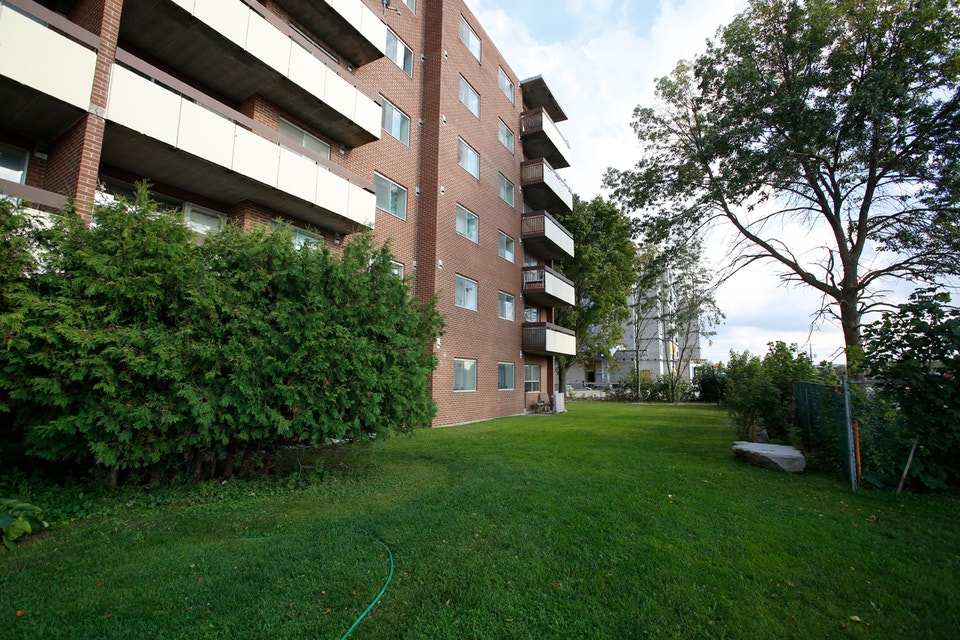 Collingwood 1 Bedroom Apartment for Rent - 120 Elm Street 3