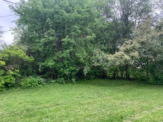 Bright 2 Bedroom + Den Lower Apartment – West End Peterborough in Long Term Rentals in Peterborough - Image 12