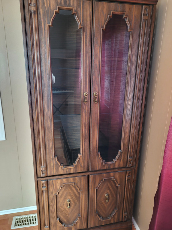 China Cabinet with Glass Shelfs and Back Light in Bookcases & Shelving Units in Ottawa - Image 2
