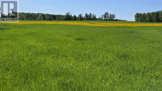 Highway 20 Rural Ponoka County, Alberta62865715058563122