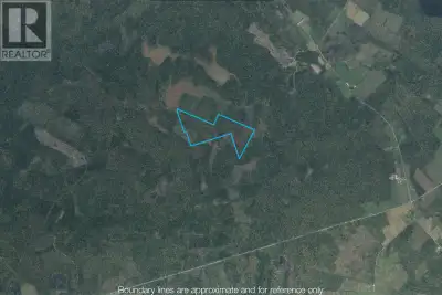 105 Acres harvested roughly 20 years ago. Buy as an investment or perhaps a spot for a camp. (id:244...