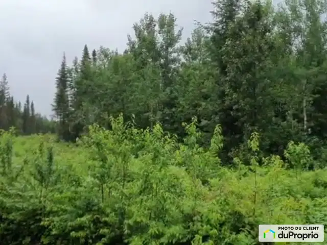 $119,000 - Residential Lot for sale in St-Honore-De-Chicoutimi in Land for Sale in Saguenay - Image 4