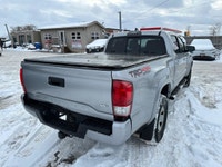 TIGER AUTO SALES LTD - Quality Pre-Owned Car Dealership - Located at 2275 Dundas St., London, Ontari... (image 4)