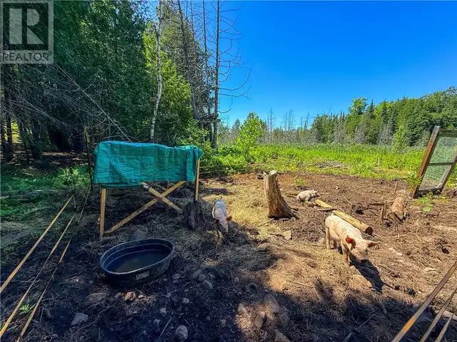 514C East Road Mindemoya, Manitoulin Island, Ontario in Land for Sale in Sudbury - Image 14