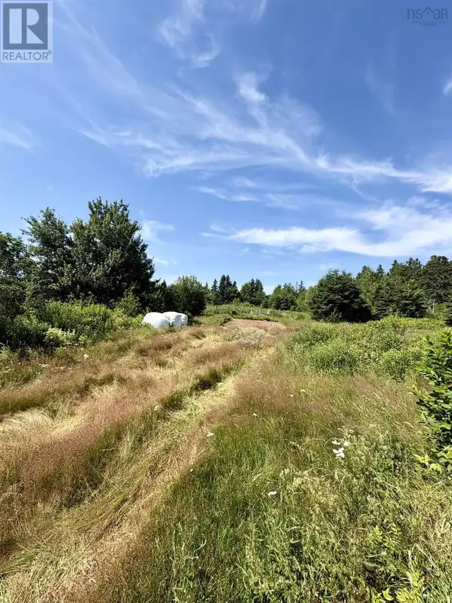 272 Breen Road Monastery, Nova Scotia in Land for Sale in New Glasgow - Image 14