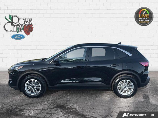 2020 Ford Escape SE | Heated Seats | Panoramic Sunroof in Cars & Trucks in Windsor Region - Image 3
