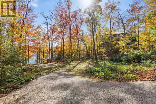 100 RUSSELL DRIVE Trent Lakes, Ontario in Land for Sale in Muskoka - Image 16