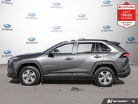 New Price! Gray 2025 Toyota RAV4 XLE SUNROOF | ALLOYS | AWD AWD 8-Speed Automatic 2.5L 4-Cylinder DO... (image 1)