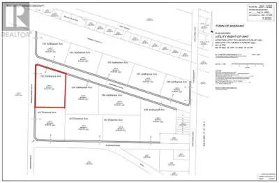 Welcome to the Bassano Large Lot Subdivision, where the beauty of nature meets the freedom to build...
