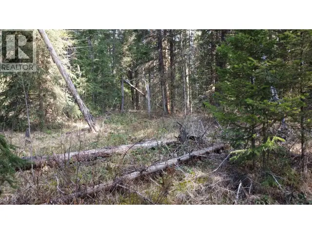 LOT B BRYCE ROAD Forest Grove, British Columbia in Land for Sale in 100 Mile House - Image 23