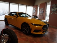*** Dealer arranged financing on site! Quick, Simple, no calls or waiting on bank appointments requi... (image 5)