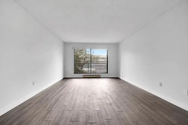 Dolphin Square Apartments - 2 Bedroom available at 8200 Park Roa in Long Term Rentals in Richmond - Image 4