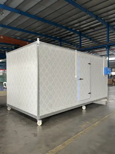 Walk-In Freezer, Chiller & Cooler Units – Commercial Sizes, View more