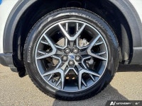 Sunroof, Cooled Seats, BlueCruise, Navigation, B&O Audio, 360 Camera, Remote Start, Heated Steering... (image 6)