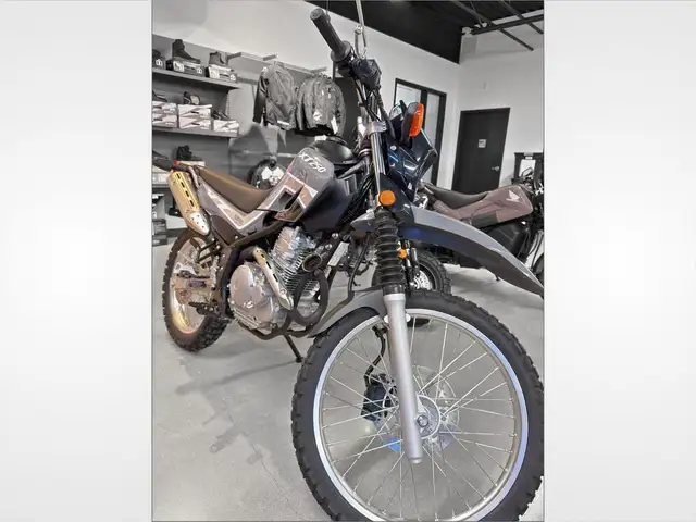 2024 Yamaha XT250 in Street, Cruisers & Choppers in Grand Bend - Image 11