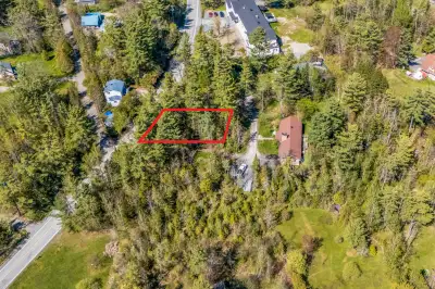 Le prix de vente est + TPS TVQ. Terrain boisé de 3 280.84 pi² zoné résidentiel et situé dans le sect...