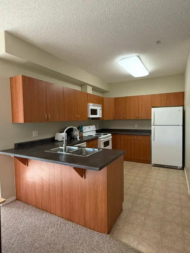 230 Wilson 2 Bed 2 Bath Condos Underground Parking in Long Term Rentals in Fort McMurray - Image 27