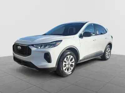 Ditch the ordinary and embrace the gold standard of Canadian versatility. Whether you are conquering...