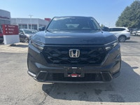 Come visit our Sterling Honda team, you can find us at 1495 Upper James Street, Hamilton, ON L9B 1K2... (image 1)