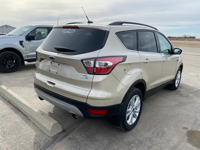 2017 Ford Escape SE523953091421808644