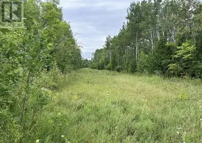 GOLFING & FISHING at your doorstep! Located on the outskirts of Manitowaning and offering a great vi...