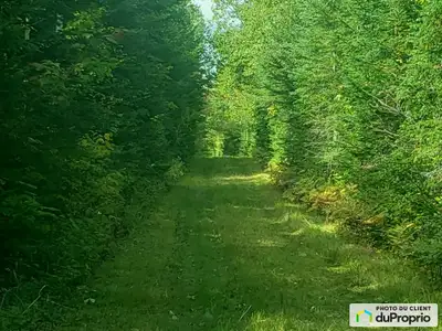 Terre à bois / chasse ( zoné vert ) Terrain enclavé avec servitude de passage 87 Acres No de lot 5 8...