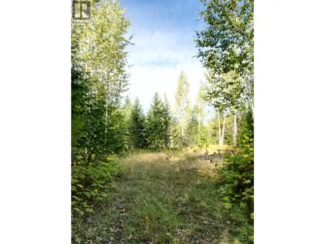 387 GALENA SHORES Drive Galena Bay, British Columbia in Land for Sale in Nelson - Image 13
