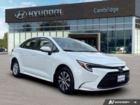 *2024 Toyota Corolla Hybrid LE | Fuel-Saving Hybrid | Advanced Safety* *Get the best of efficiency,... (image 6)