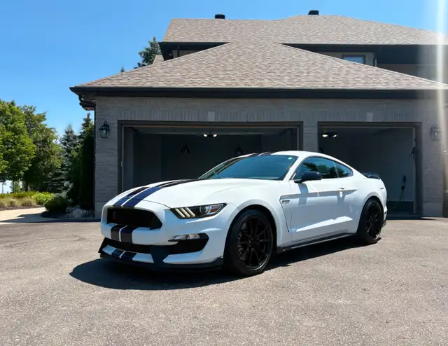 2019 Ford Mustang Shelby GT350 in Cars & Trucks in Oakville / Halton Region - Image 2