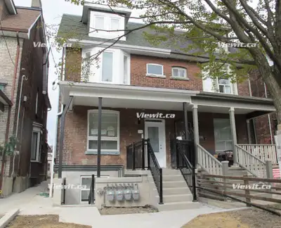 Basement Apartment For Rent in Little Italy