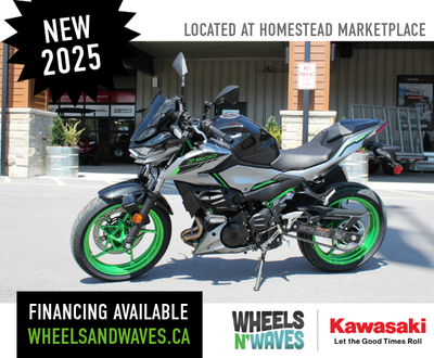 Financing Available From $58.47* (Bi-Weekly) $8,093.00 x 84 months based on 8.99% APR and $0 down pa...