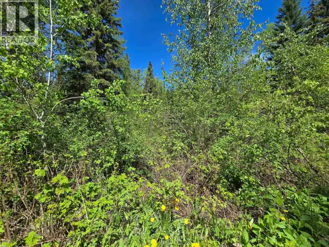 4209 ANTOINE LAKE ROAD Horsefly, British Columbia in Houses for Sale in Williams Lake - Image 36