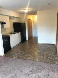 One bedroom newly remodeled apartment