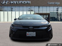 PREVIOUS DAILY RENTAL The *2024 Toyota Corolla LE* is the latest evolution of the world's best-selli... (image 7)