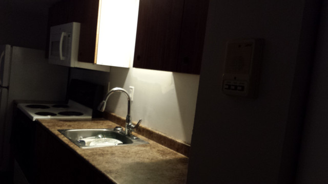 154 King St E.  Unit 1 Available NOW in Long Term Rentals in Kingston - Image 2