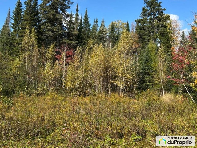 $85,000 - Residential Lot for sale in Ste-Agathe-Des-Monts — photo 2
